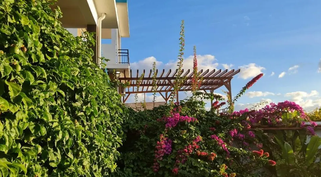 Villa Paradise Rodrigues-1